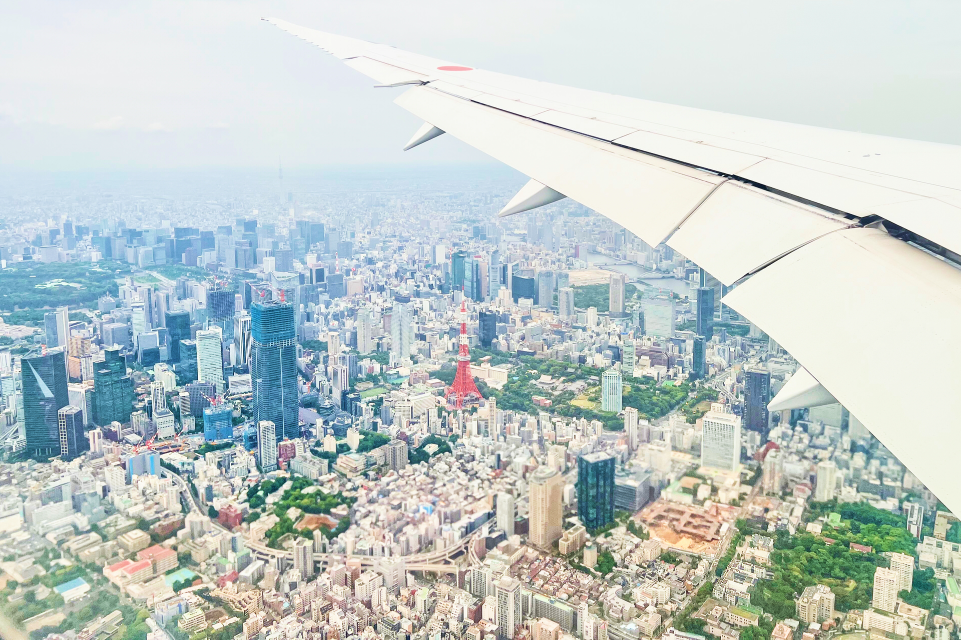 飛行機からの景色