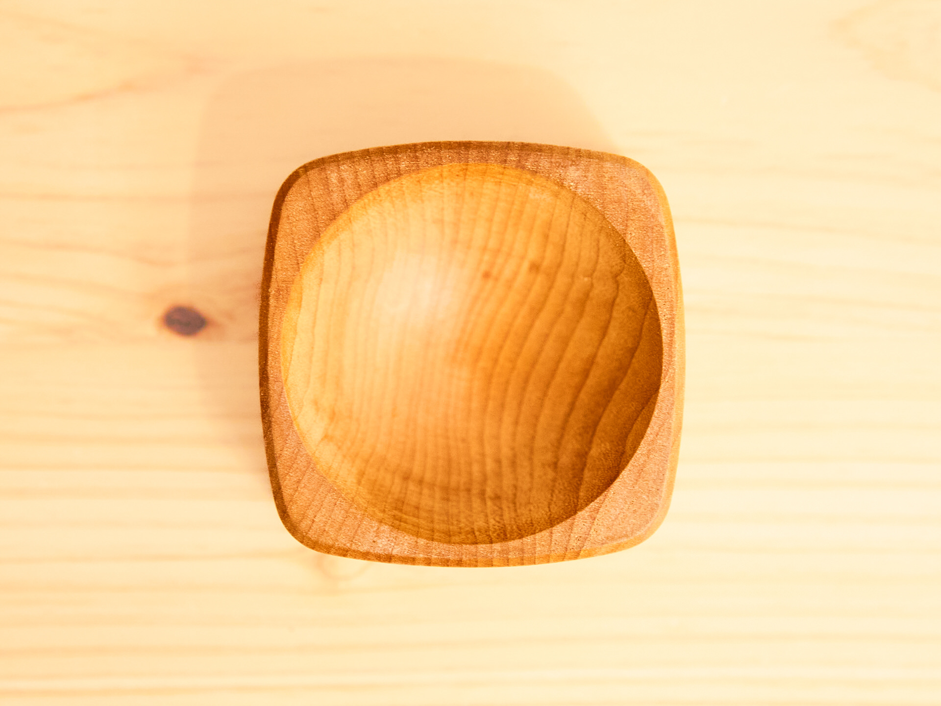 Wood Dish 容器のなか